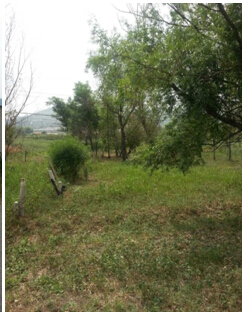 19̖ ɽǧɽ^(q)|ɽ(zhn)|Ӵ弯wʹÙ(qun)