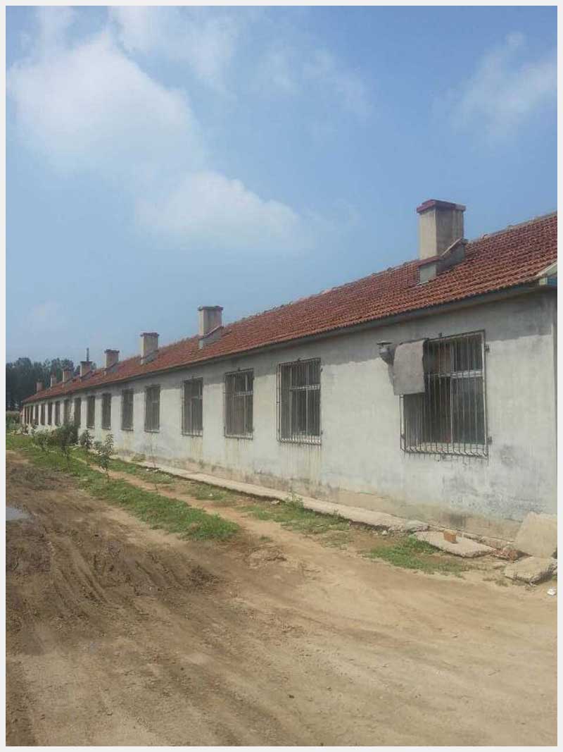 86̖ Ж|(zhn)|Ĵ巿a(chn)ʹÙ